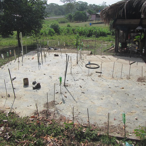 Imagen 4 del proyecto