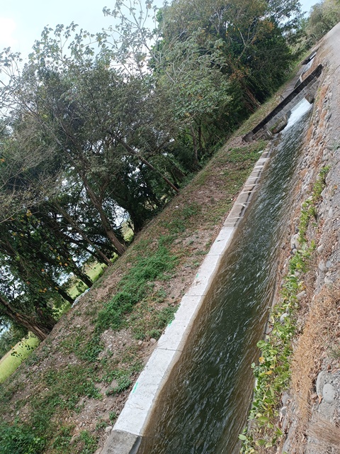 Imagen 4 del proyecto