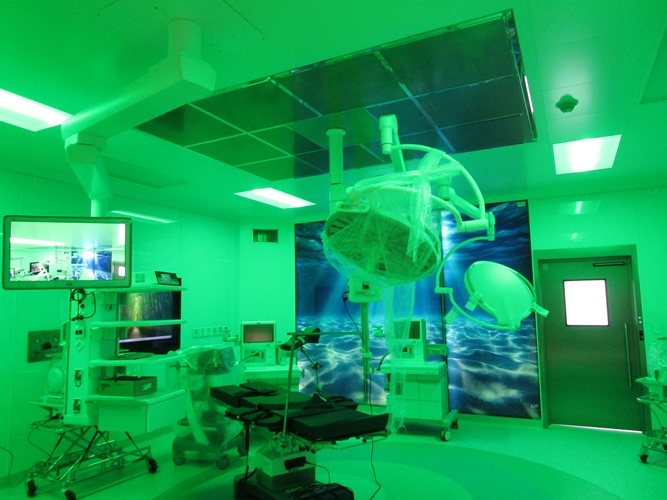 Imagen 7 del proyecto