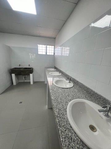 Imagen 11 del proyecto